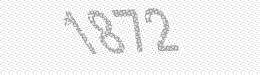 Visual security code — type the characters shown in the image
