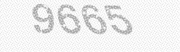 Visual security code — type the characters shown in the image